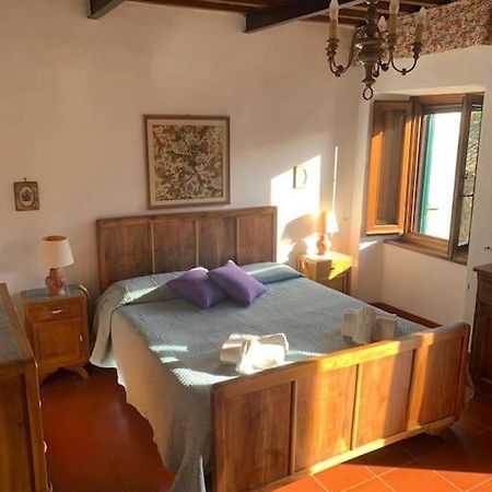 Palazzetto In Centro Villa Pieve Fosciana Eksteriør billede